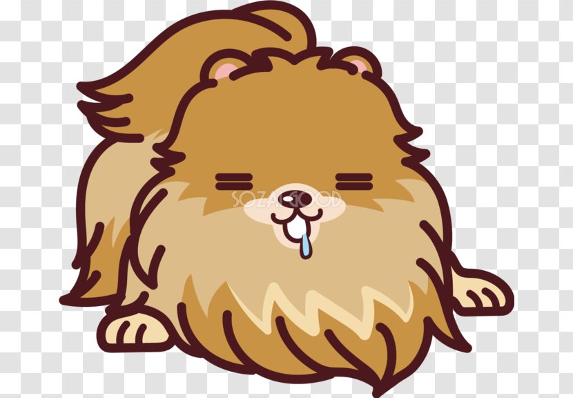 Pomeranian Shiba Inu Snout Clip Art - Mammal - Good Transparent PNG