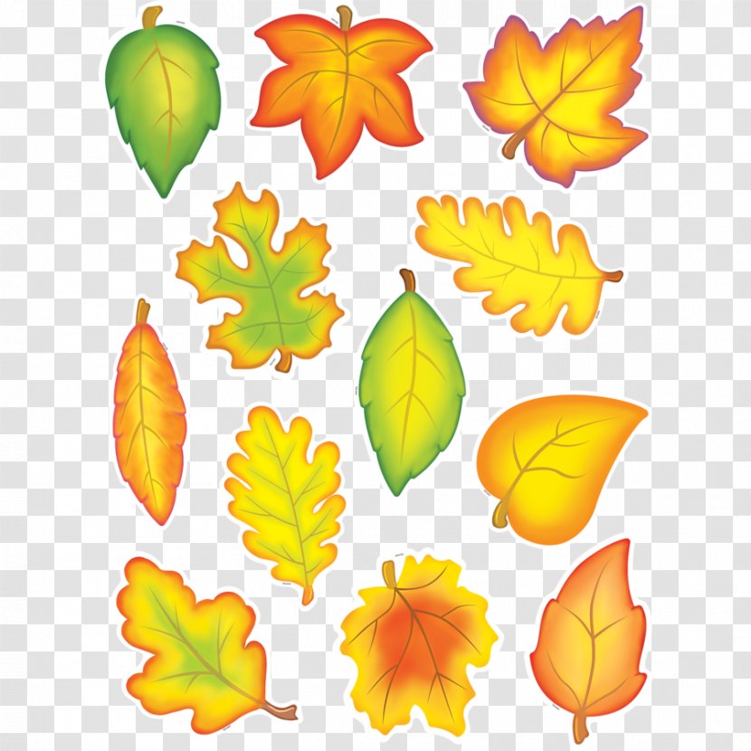 Sticker Autumn Leaf Color Bulletin Board Tree - Leaves Transparent PNG