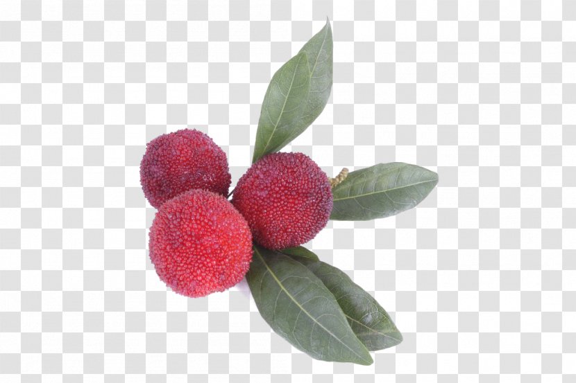 Berry Morella Rubra Food Auglis Fruit - Watermelon - Strawberry,fruit,fresh Transparent PNG