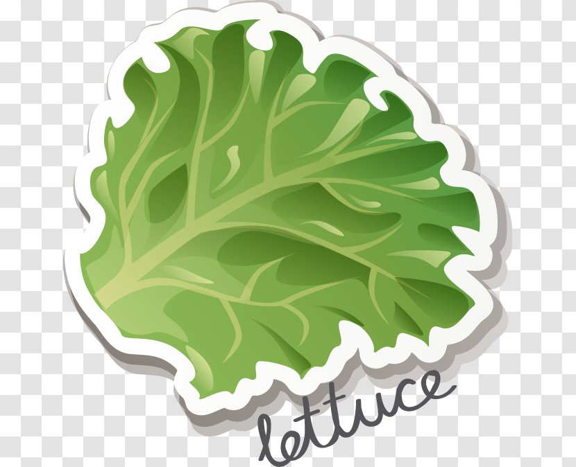 Breakfast Egg Salad Fried Icon - Plant - Fine Vegetables Lettuce Transparent PNG