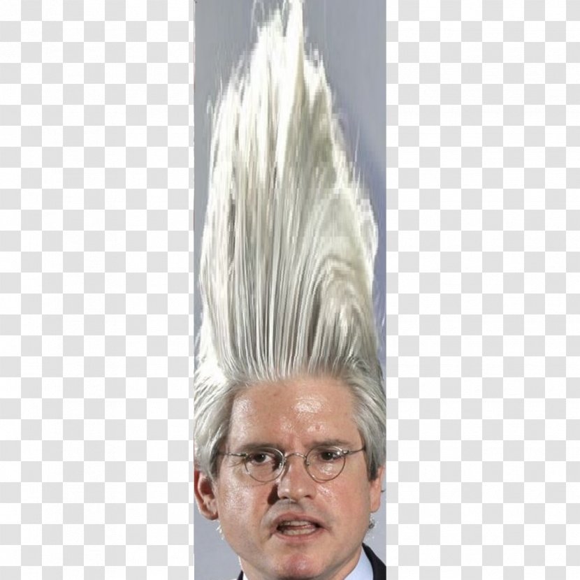 David Brock Shareblue Media Correct The Record Forehead Hair - Watercolor - Flower Transparent PNG