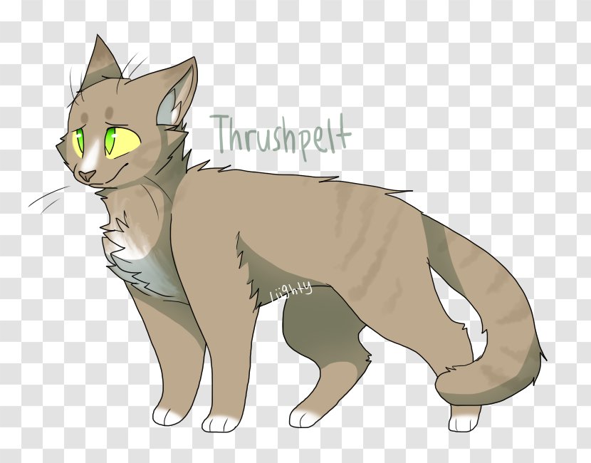 Warriors Bluestar Cat Thrushpelt Erin Hunter - Fauna Transparent PNG