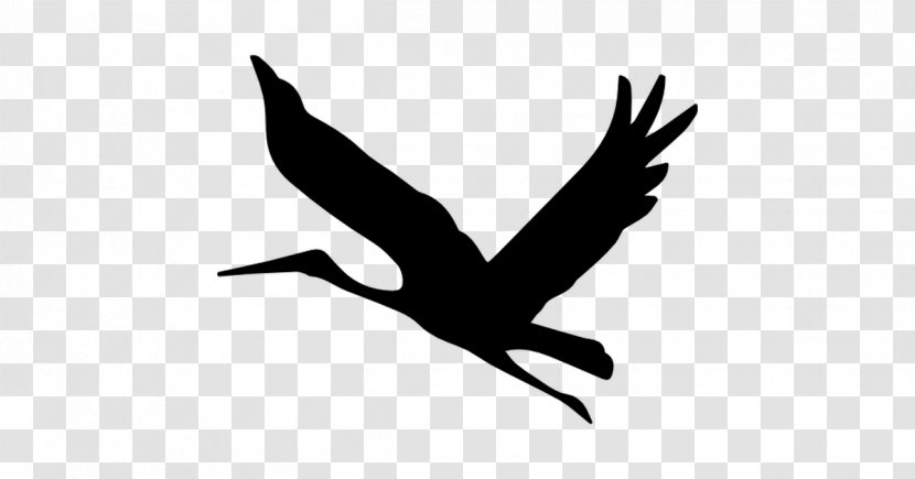Bird Mallard - Peace Symbols Transparent PNG