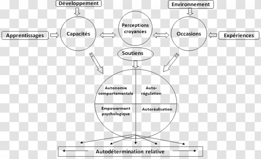 Self-determination Psychology Disability Theory Modell - White Transparent PNG