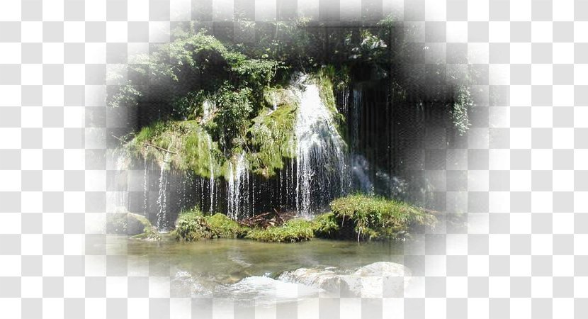 Desktop Wallpaper Landscape Building Water Resources - Rainforest - Paysage Restaurant Transparent PNG