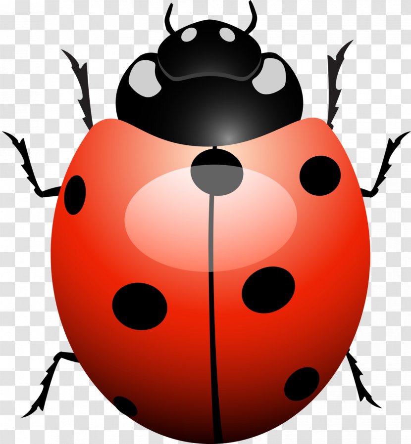 Adrien Agreste Marinette Dupain-Cheng Ladybird Beetle Software Testing Transparent PNG