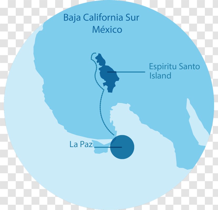 Isla Espíritu Santo RED Travel México UNESCO Sea Lion - Mexico - Islamic Decorative Map Transparent PNG