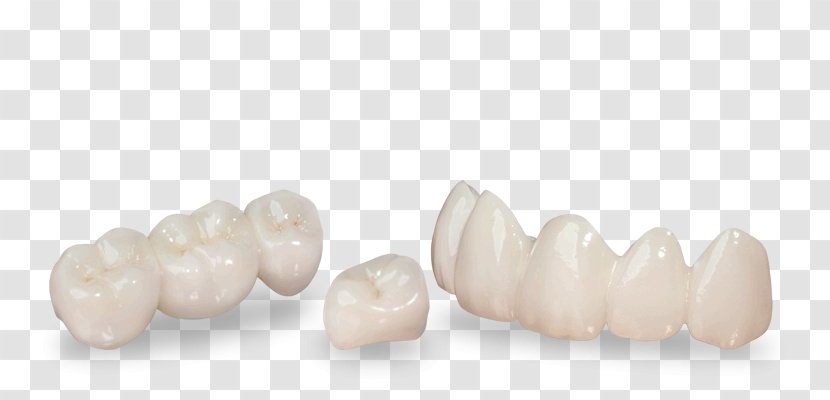 Family Dentistry Tooth Jewellery Health Transparent PNG
