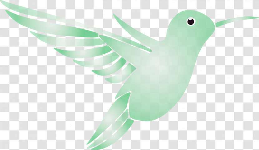 Hummingbird Transparent PNG