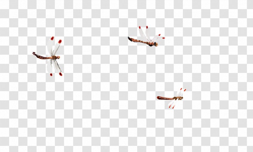 Petal Pattern - Dragonfly Transparent PNG