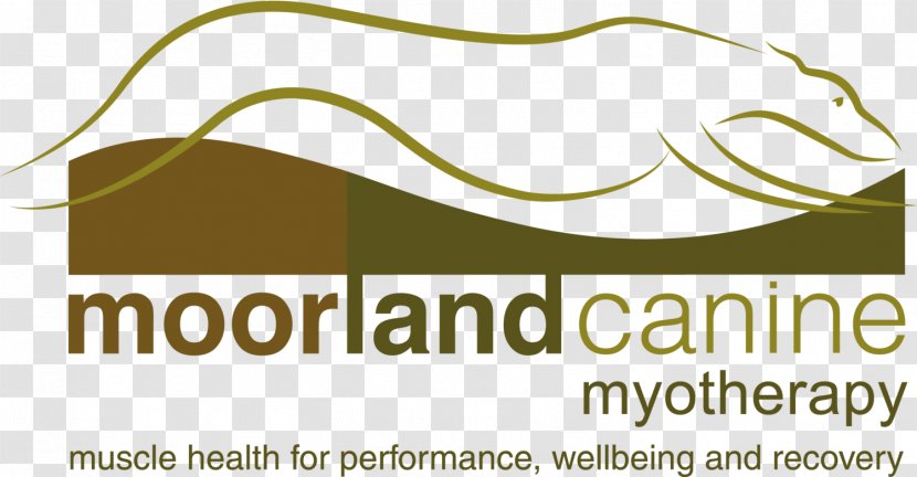 Dog Myotherapy Canidae Pet Food Moorland - Organism Transparent PNG