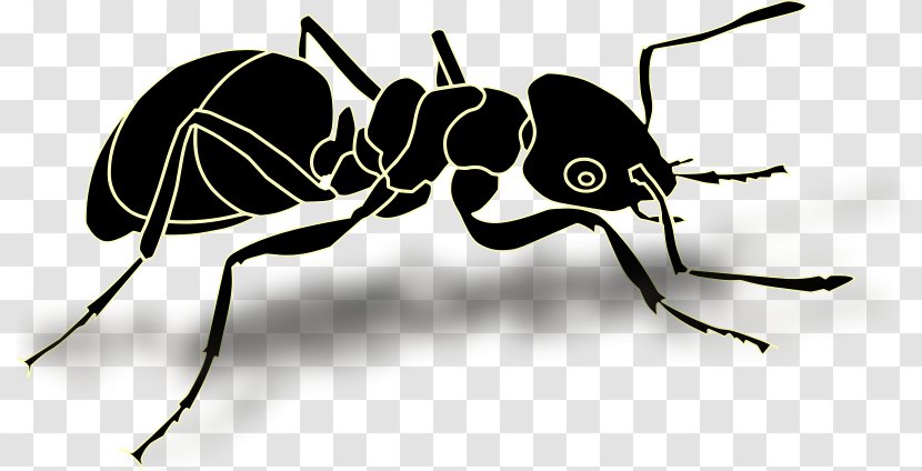 Ant Vector Graphics Clip Art Image Insect Transparent PNG