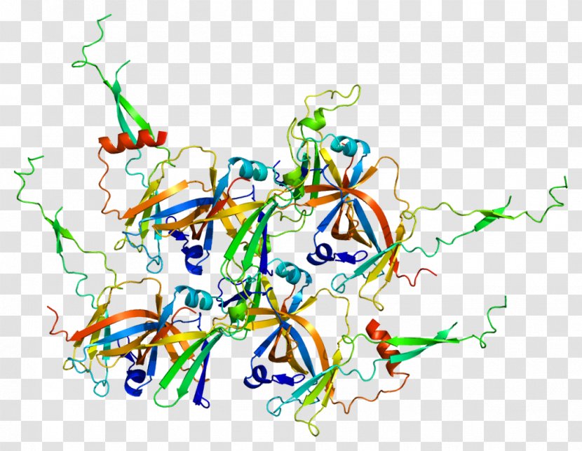 GTF2F1 Transcription Factor II F B Gene POLR2A - Protein Subunit - Area Transparent PNG