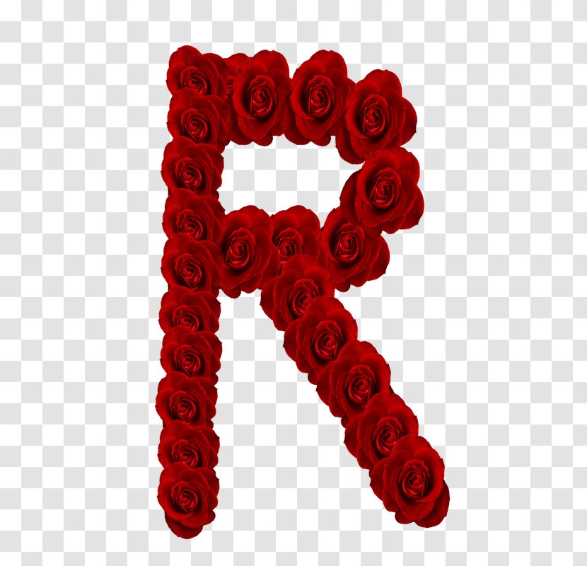 Letter Alphabet Rose - Flower Transparent PNG