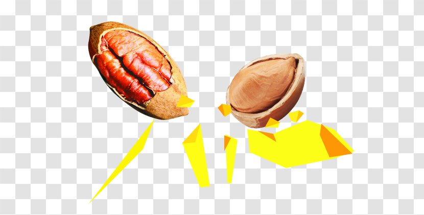 Hot Dog Pecan Junk Food Cuisine Of The United States - American - Walnut Pictures Transparent PNG