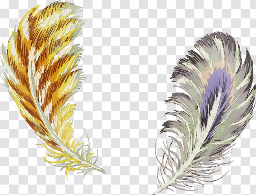Feather - Paint - Fashion Accessory Grass Transparent PNG