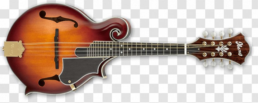 Acoustic Guitar Mandolin Electric Ibanez M522S - Flower Transparent PNG