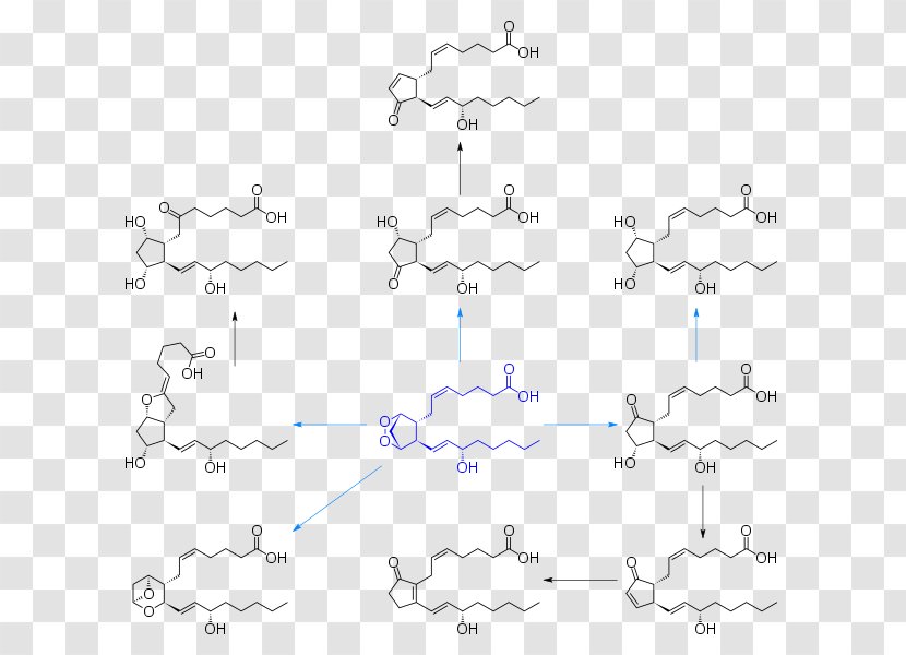 Prostanoid Prostaglandin H2 Eicosanoid Biosynthesis - Silhouette - Prostaglandinendoperoxide Synthase 2 Transparent PNG