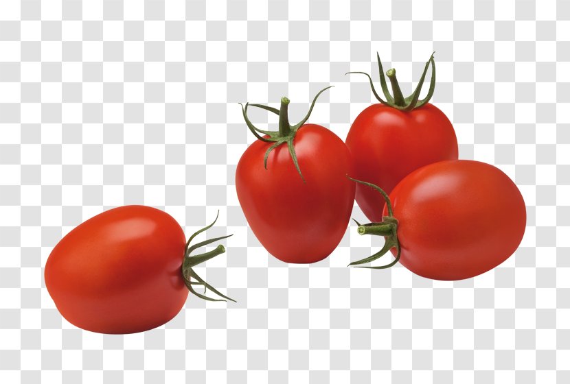 Plum Tomato Vegetable Food Roma Fruit - Superfood - Sauce Transparent PNG