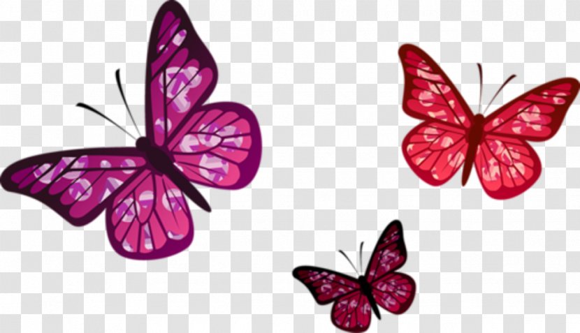Painting Monarch Butterfly Flower Image Transparent PNG