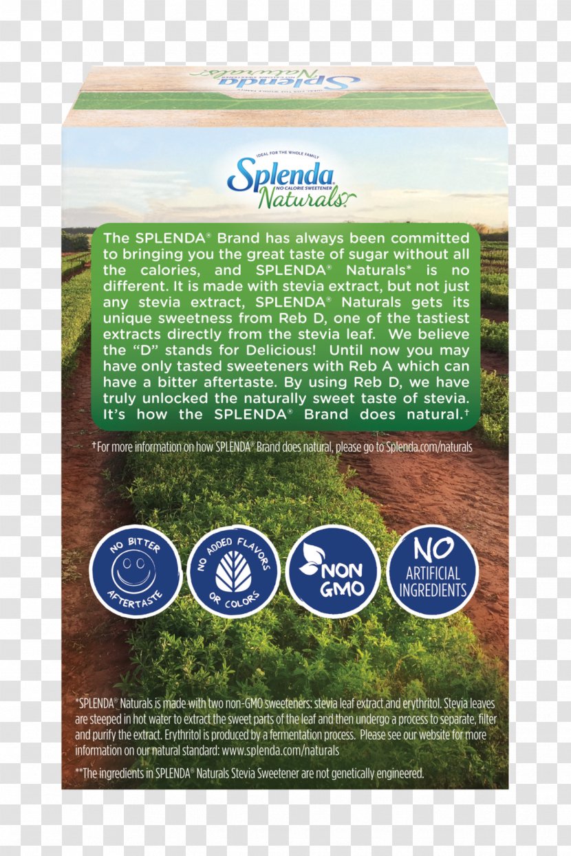 Stevia Splenda Sugar Substitute Erythritol Food - Sucralose Transparent PNG