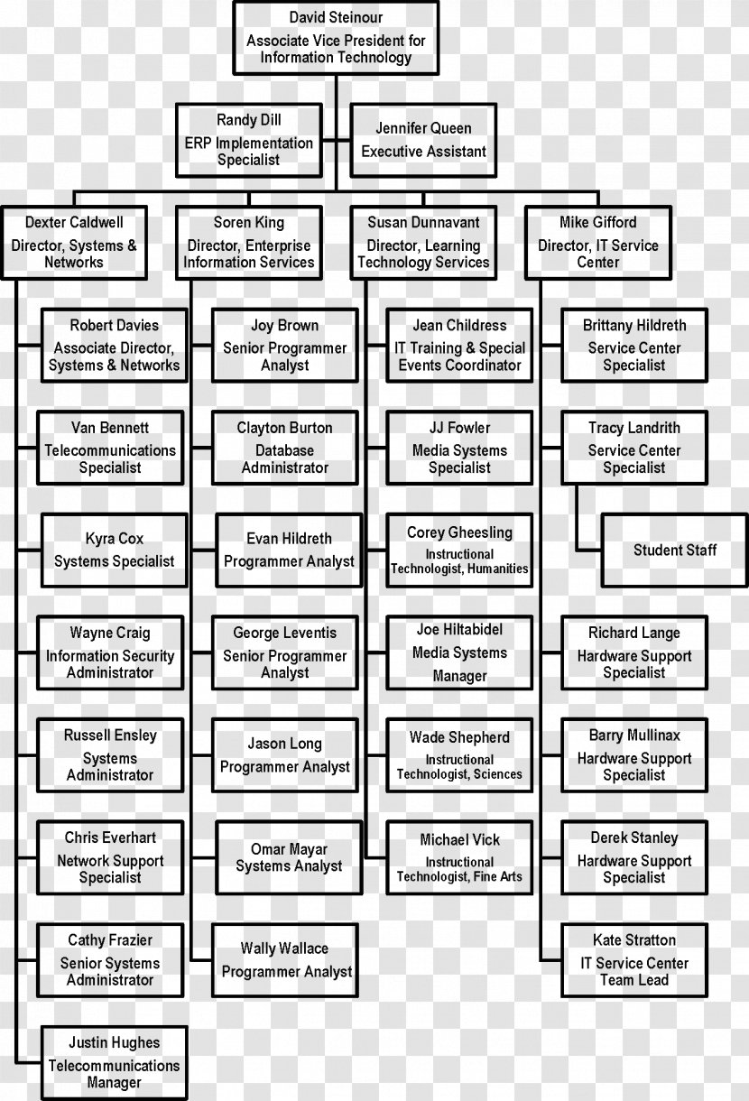 Organizational Chart Structure Information Technology Management - Organization Transparent PNG