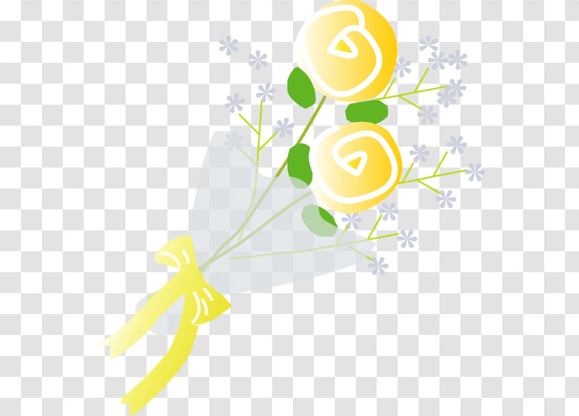 Father's Day Gift Mother's Family - Flowering Plant Transparent PNG
