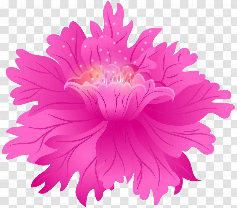 Dahlia (Boston Globe-Horn Book Honors Flower Tuber Swan Island Dahlias - Pink Clip Art Image Transparent PNG