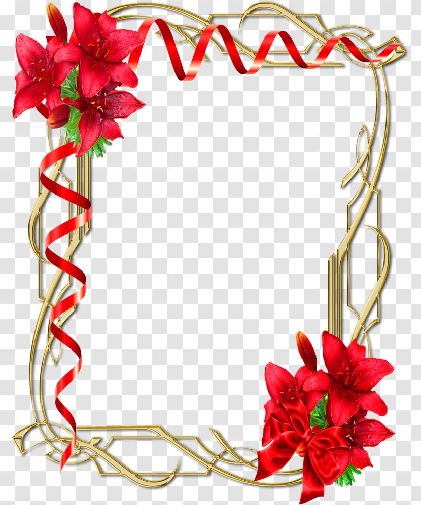 Picture Frames Flower Floral Design Photography Transparent PNG