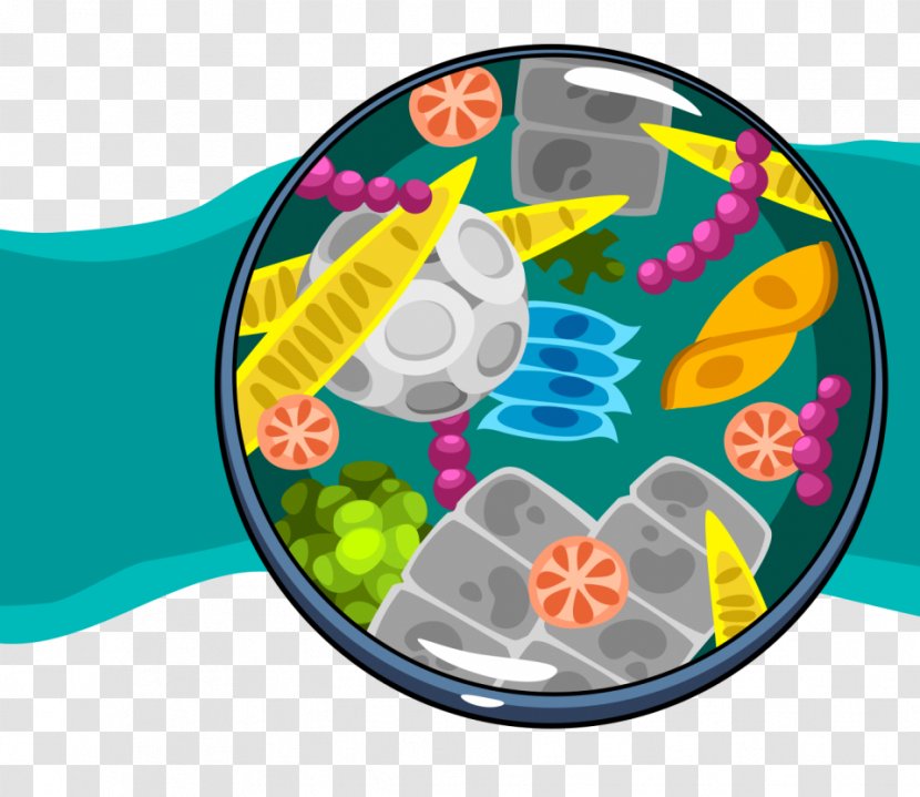 Zooplankton Organism Water Food Web - Biologist - Addition Transparent PNG