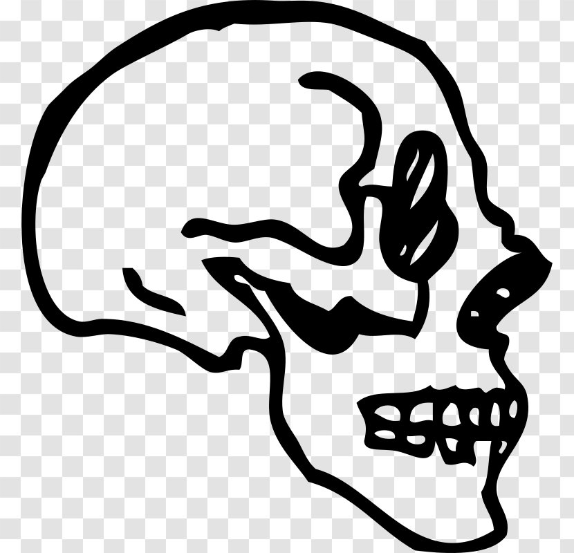 Skull Human Skeleton Drawing Clip Art - Monochrome Photography Transparent PNG