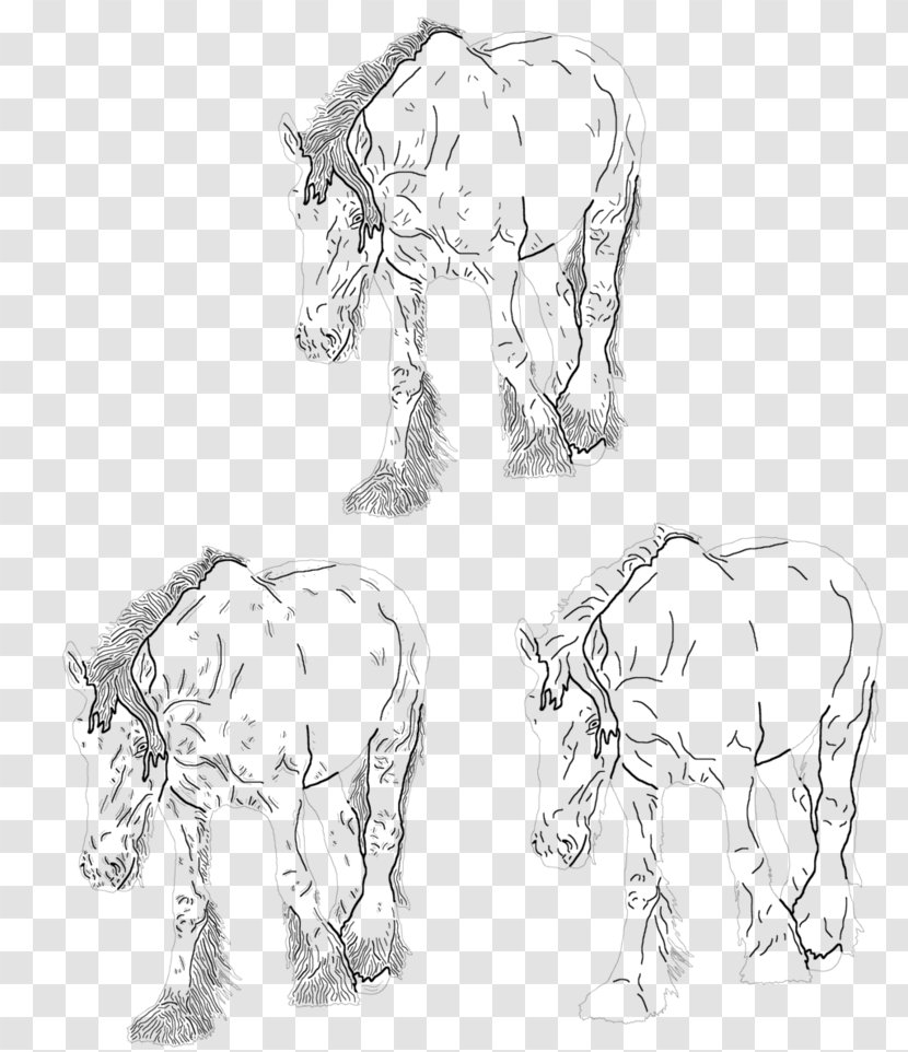 Indian Elephant African Mule Mustang Mane Transparent PNG
