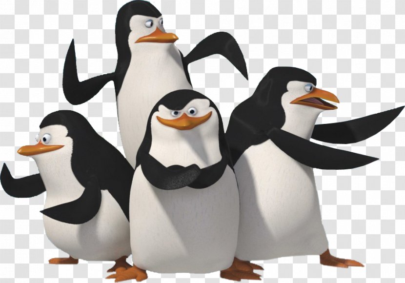 Skipper Penguin Madagascar DreamWorks Animation - Bird - Penguins Transparent PNG