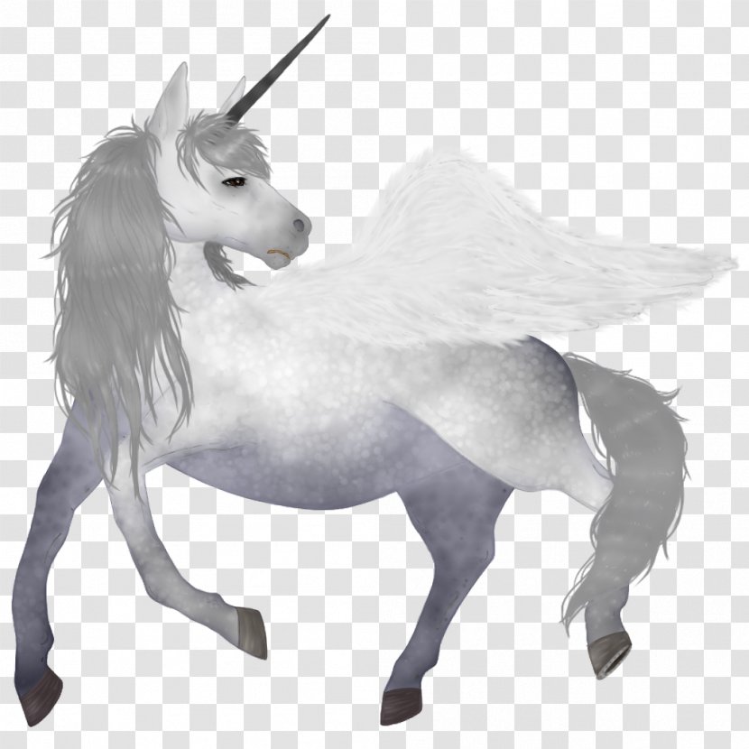 Mustang Unicorn Pack Animal Snout Naturism - Mythical Creature Transparent PNG