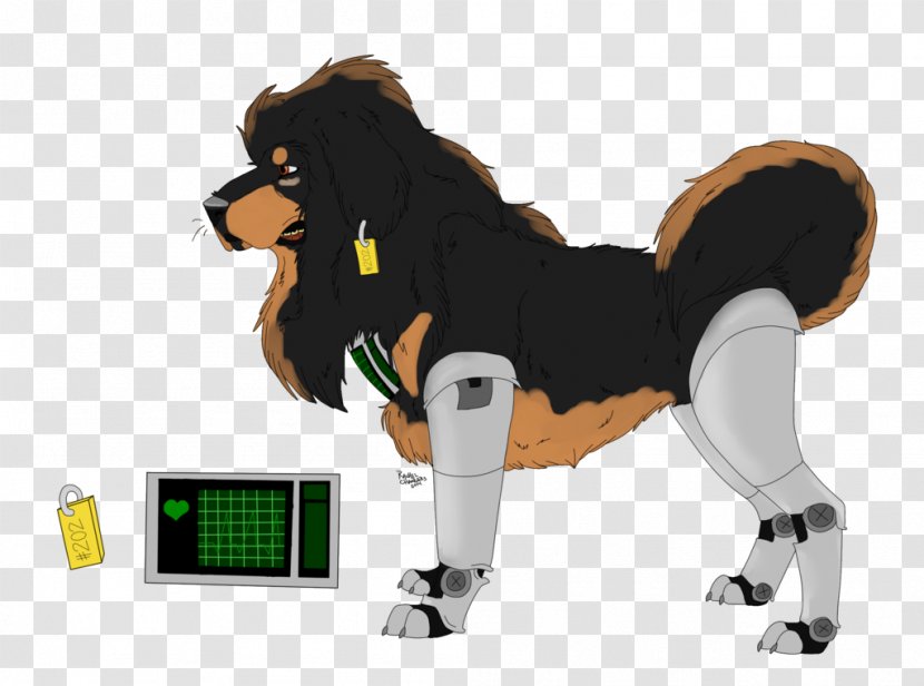 Dog Breed 29 August Cat - Imperfect - Tibetan Mastiff Transparent PNG