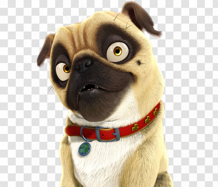 YouTube Pug Surly Film - Puppy Love - Job Transparent PNG
