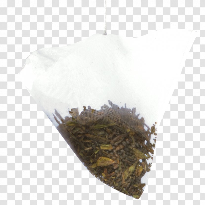 Nilgiri Tea Hōjicha Plant - Hojicha - Darjeeling Transparent PNG