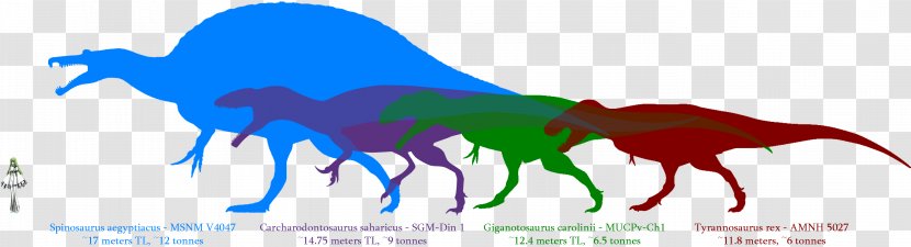 Giganotosaurus Dinosaur Size Carcharodontosaurus Spinosaurus Mapusaurus - Cartoon - Tyrannosaurus Transparent PNG