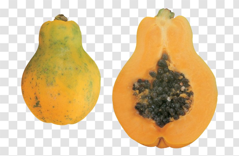 Papaya Pumpkin Fruit - Calabaza - Fresh Transparent PNG