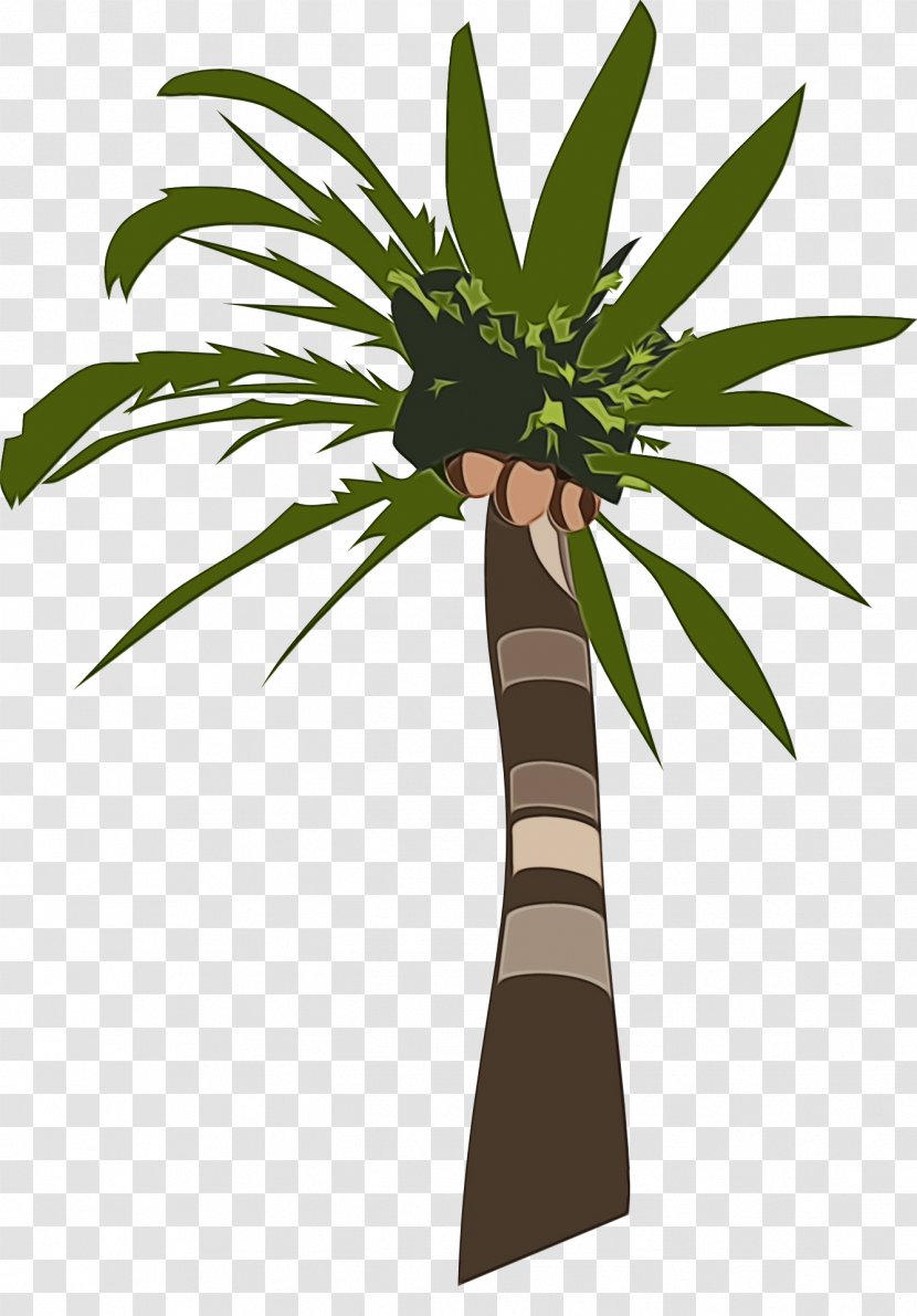 Cartoon Palm Tree - Shrub Vascular Plant Transparent PNG