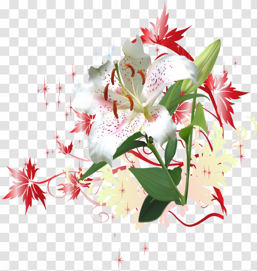 Lilium Cut Flowers - Flower Bouquet - Colorful Transparent PNG