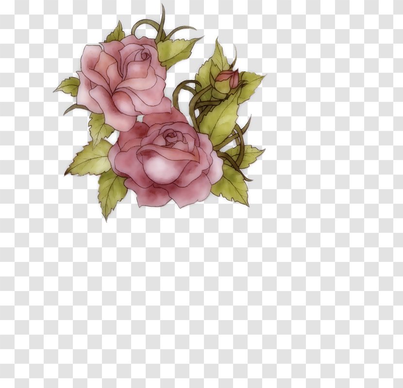 Garden Roses Flower Image Floral Design - Bible Transparent PNG