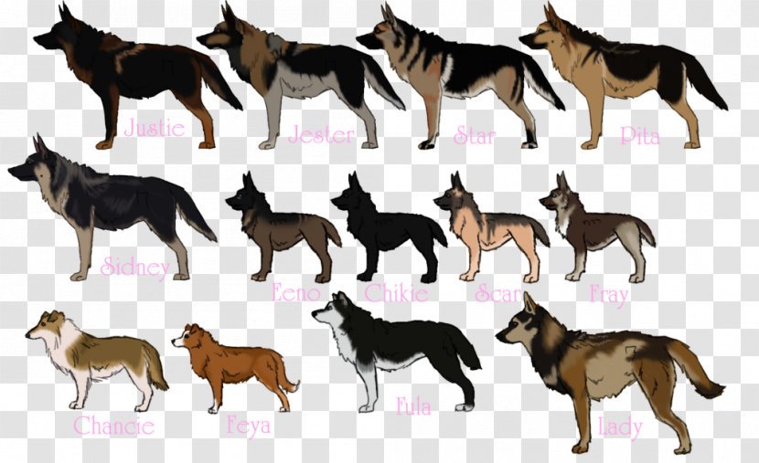 Dog Breed American Pit Bull Terrier German Shepherd Kuchi - Puppy Transparent PNG