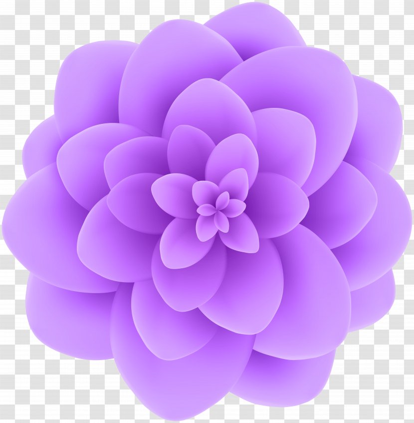 Pink Flowers Blue Clip Art - Dahlia - Flower Transparent PNG