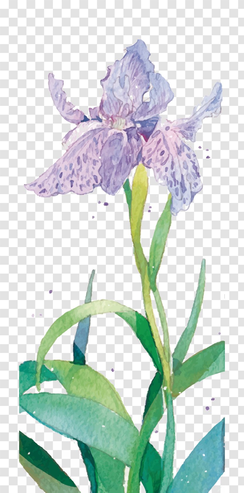 Purple Watercolor Painting Flower - Flowers Transparent PNG