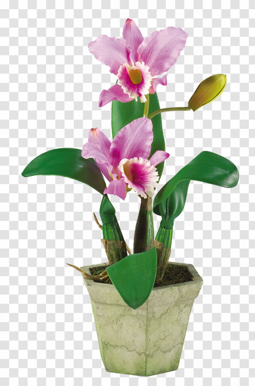 Artificial Flower Floral Design Moth Orchids Floristry - Flowering Plant - Orchid Transparent PNG
