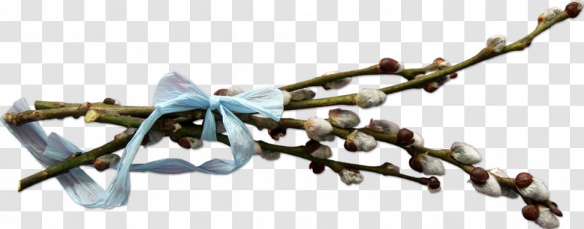 Willow Digital Image Clip Art - Palm Sunday - DTH Transparent PNG