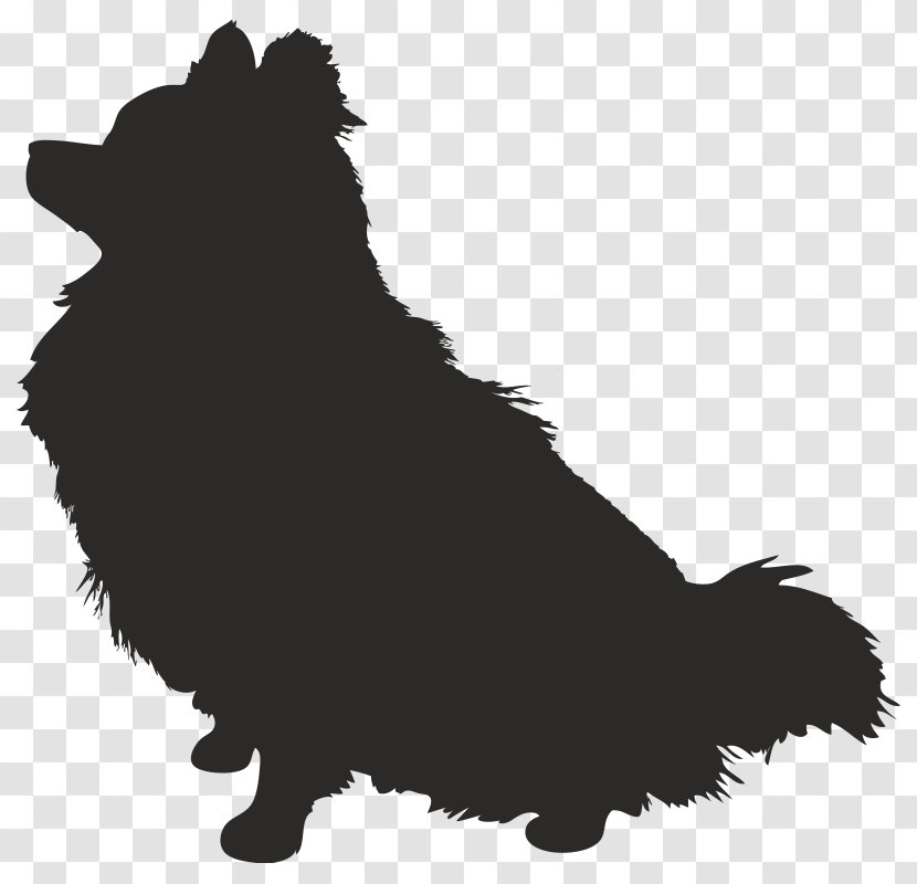 Schipperke The Pomeranian Puppy Dog Breed - Black Transparent PNG