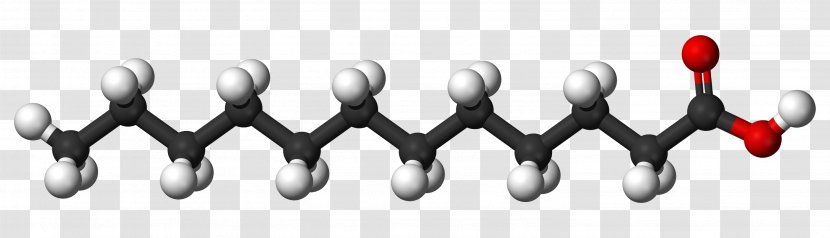 Palmitic Acid Saturated Fat Lauric Fatty Stearic Transparent PNG