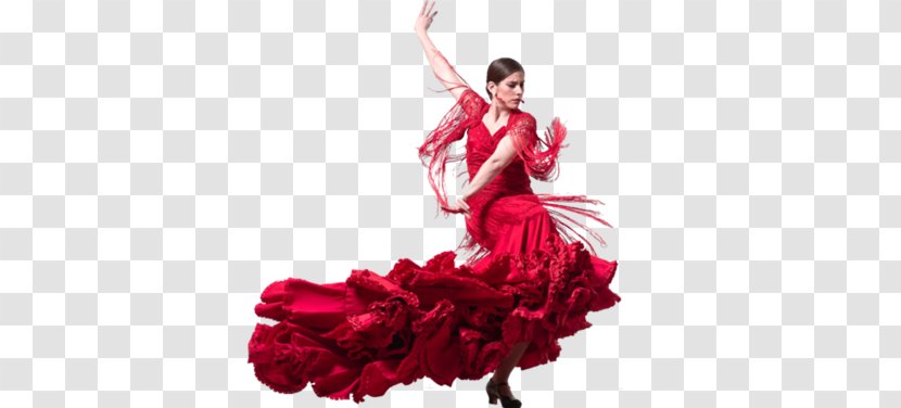 Spain Flamenco Vivo Carlota Santana Dance Troupe - Flower - Tree Transparent PNG